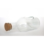 Preview: Flaschenvase / Terrarium-Vase / Pflanzgefäß / Kräutertopf, Recyclingglas, hergestellt in Europa, recyceltes Glas